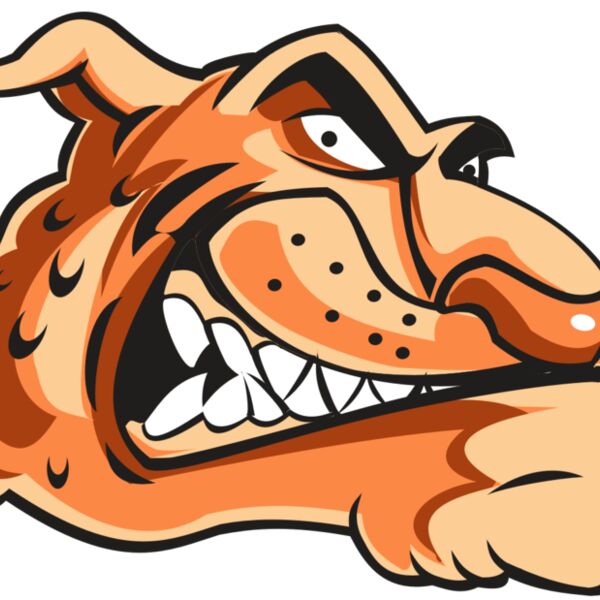 CHEETAH HD0503 RQC Thumbnail