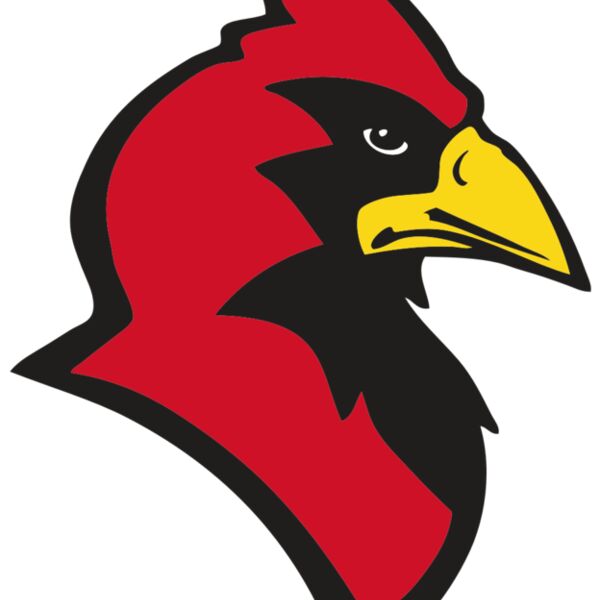 AR CARDINAL 20 RC Thumbnail