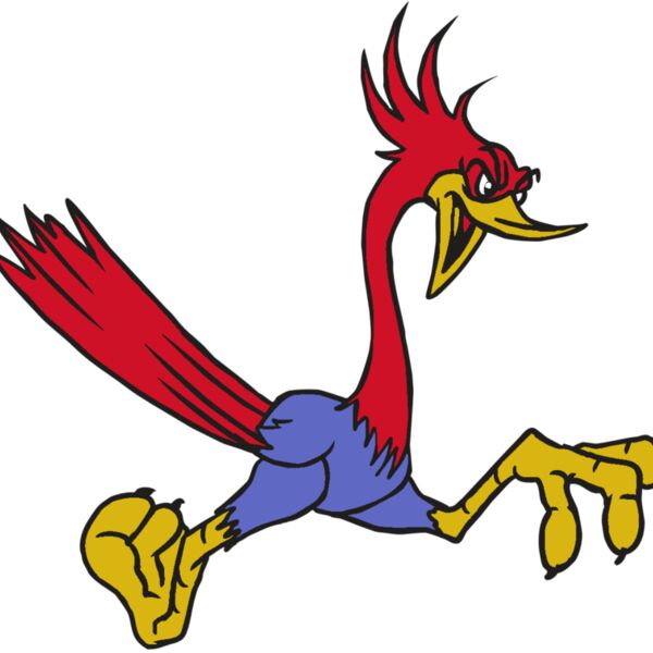 AR31 ROADRUNNER 01 RQC Thumbnail